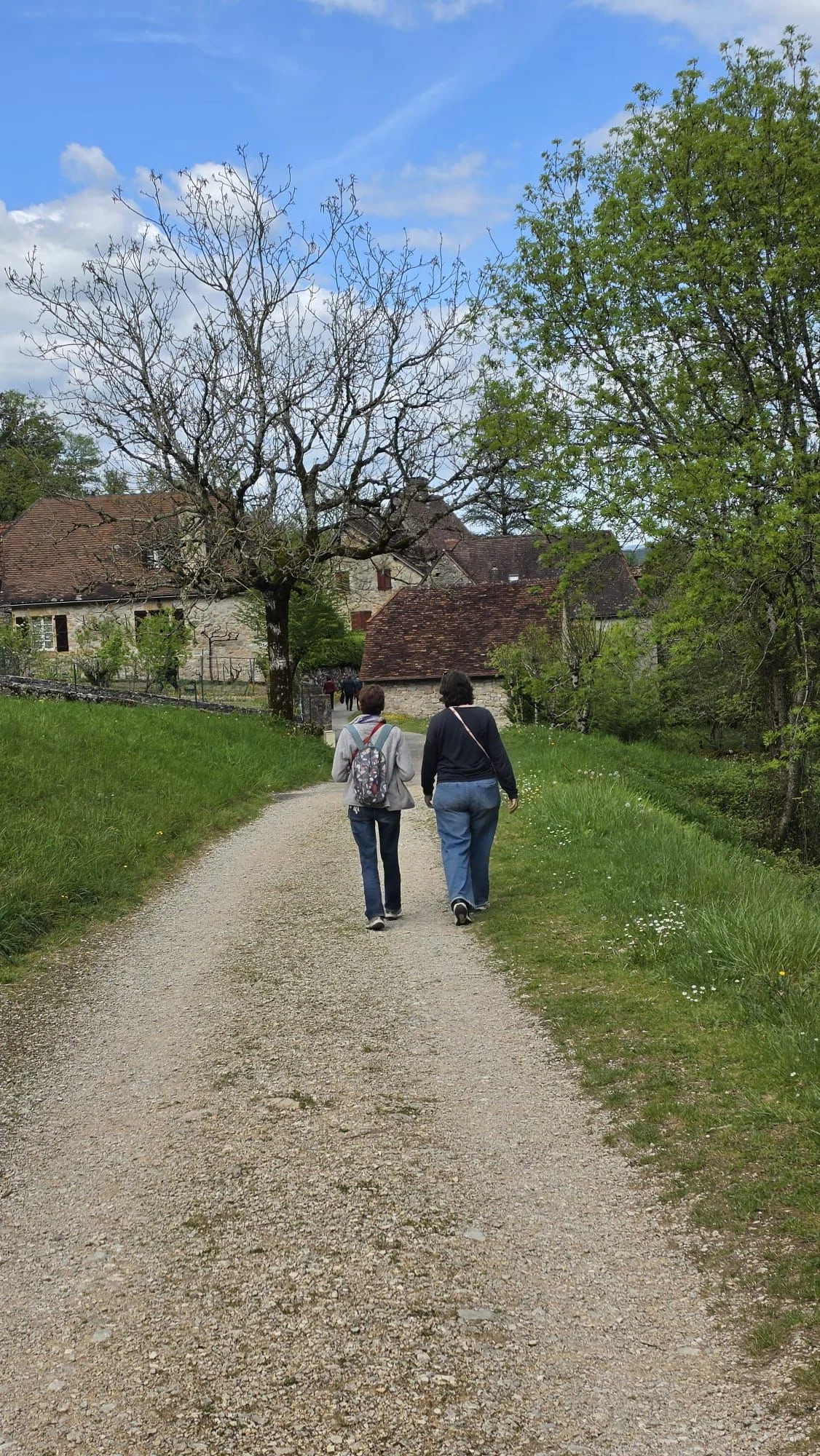 walk and coach