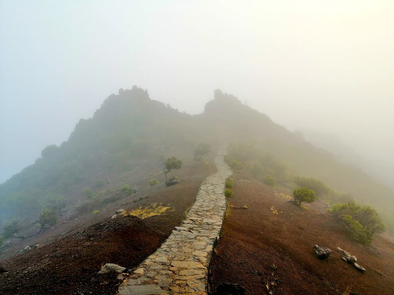 chemin brouillard